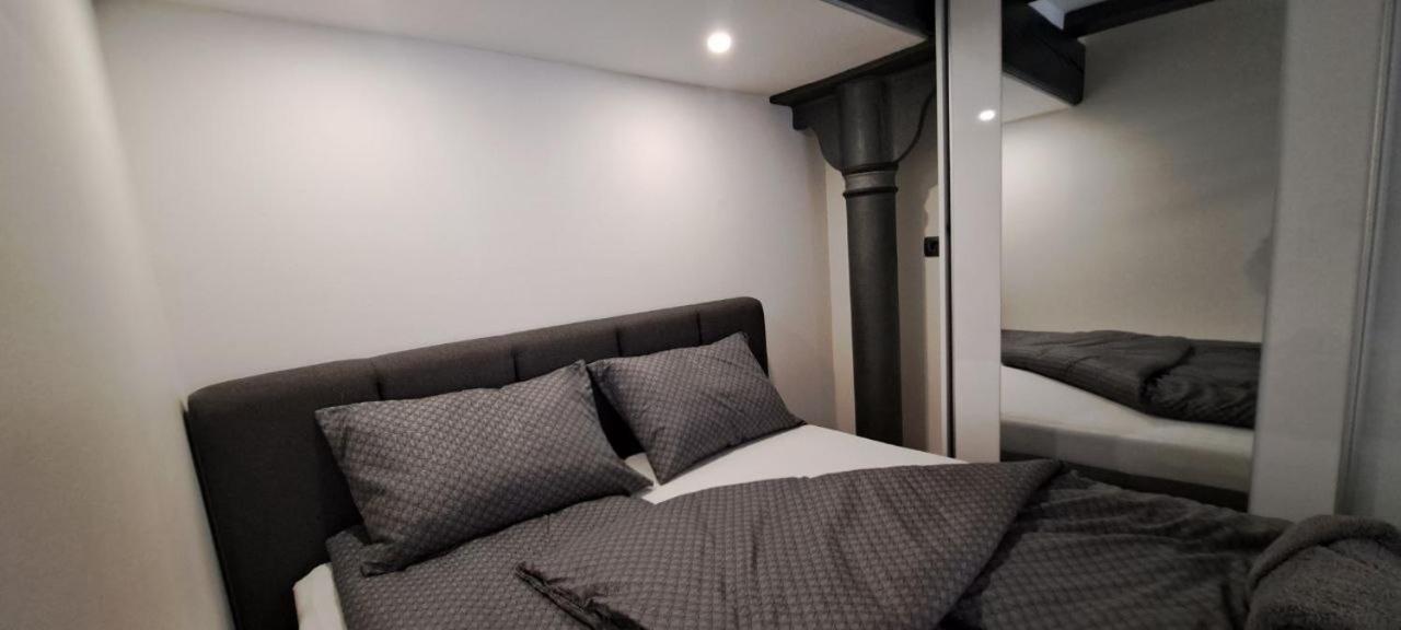 Appartamento Ljubljana Nest- Centre, Free Parking- Renovated August 2024 Esterno foto